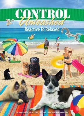 Control Unleashed: Reactive to Relaxed