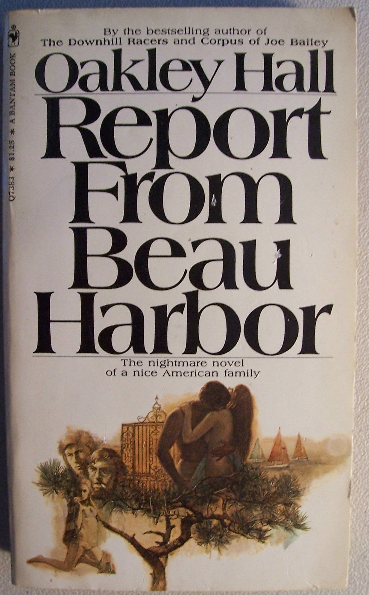 Report from Beau Harbor book cover