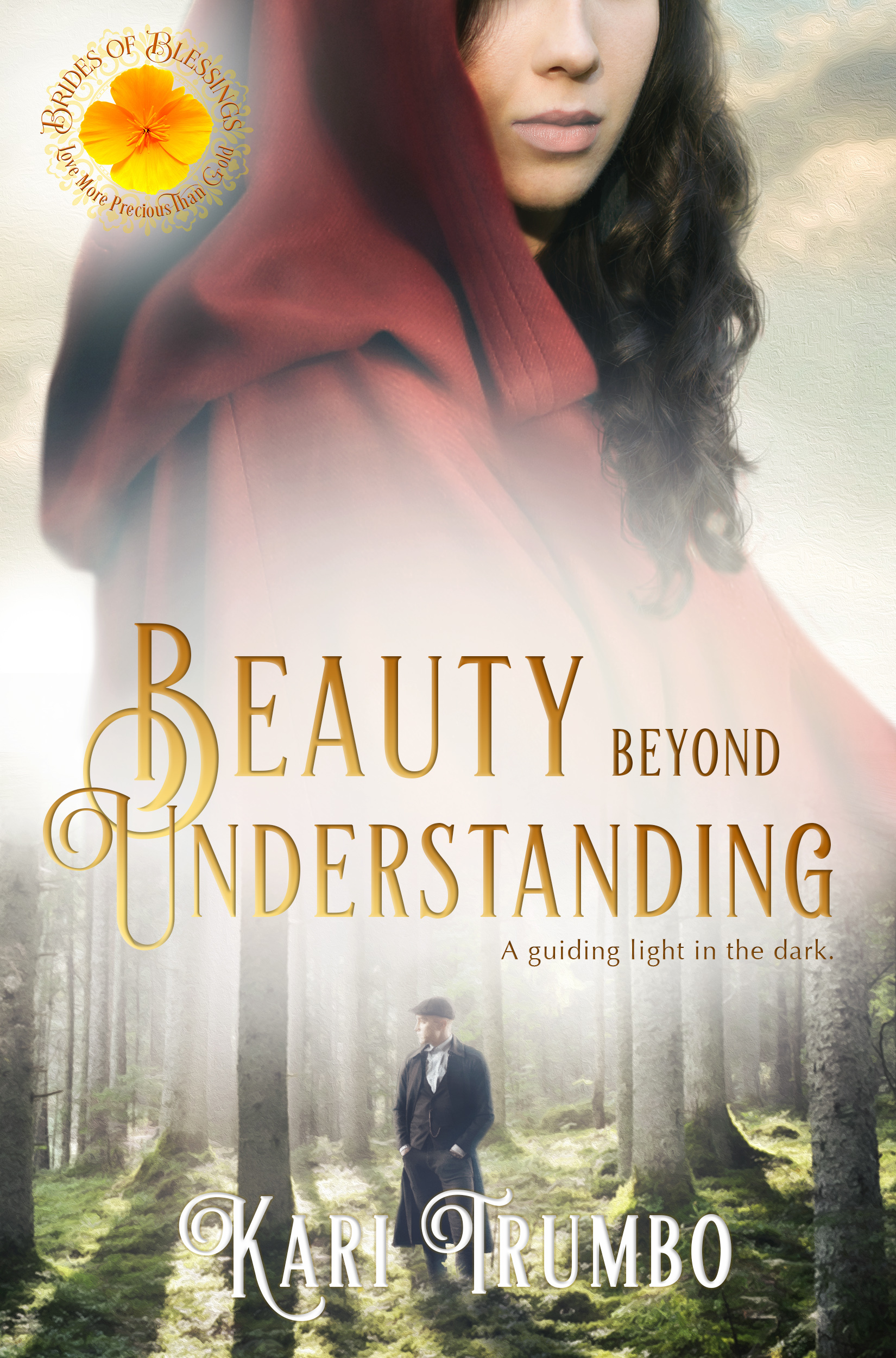 Beauty Beyond Understanding book cover
