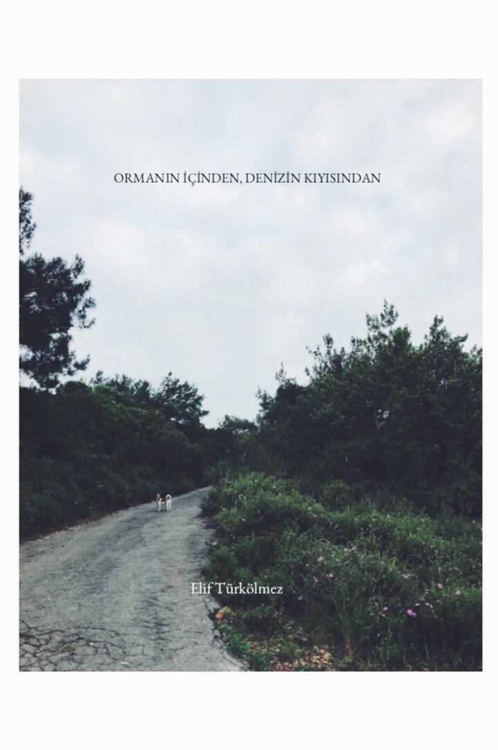 Ormanın İçinden, Denizin Kıyısından book cover