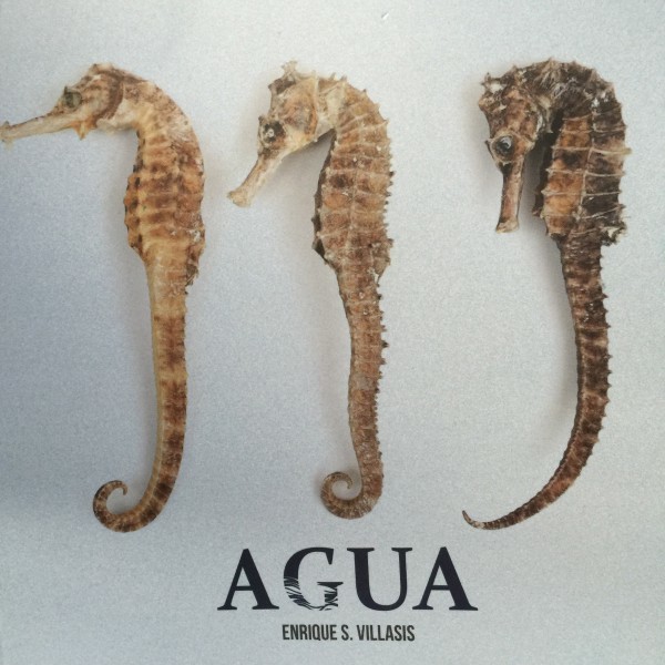 Agua