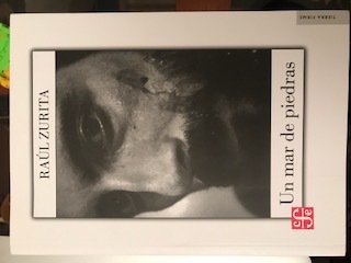 Un mar de piedras book cover