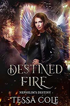 Destined Fire book cover