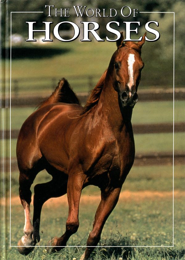 The World of Horses by Angela Sayer Rixon | Goodreads