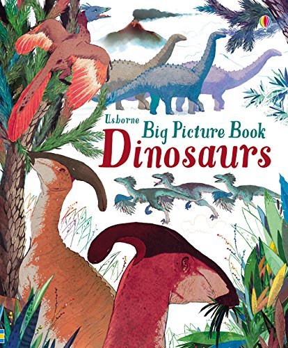 Usborne Big Picture Book Dinosaurs book cover