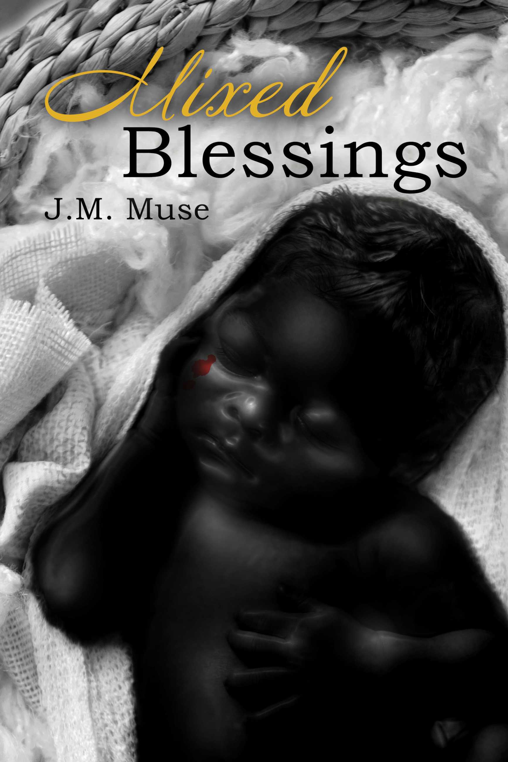 Mixed Blessings by J.M. Muse Goodreads