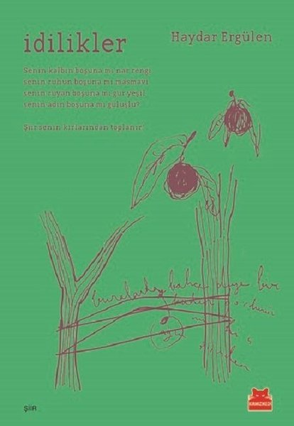 İdilikler book cover