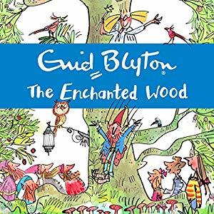 The Enchanted Wood (The Faraway Tree, #1)