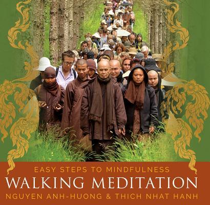 Walking Meditation book cover