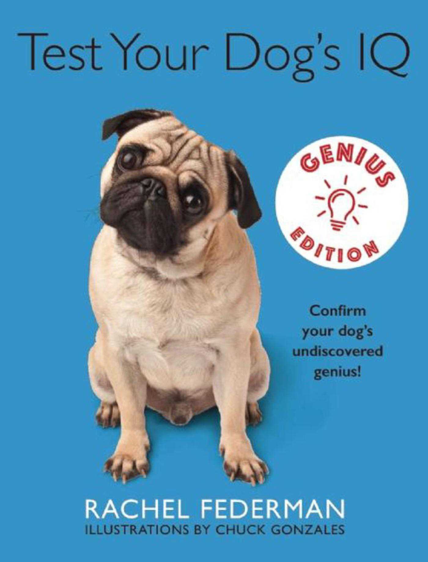 Would You Test Your Dog’S Iq? : Canine IQ Test [Updated Guide] – SHOF
