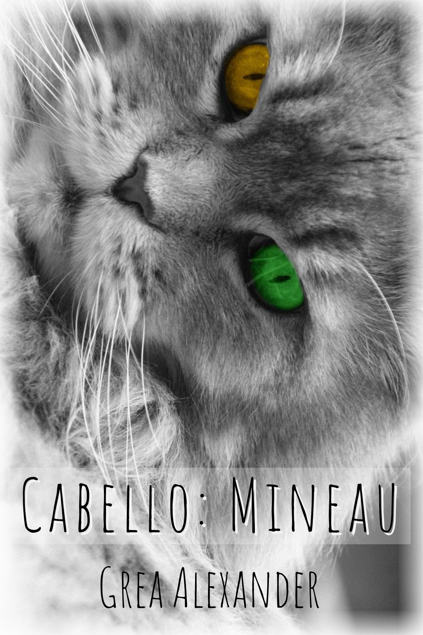 cover img of Cabello: Mineau (Cabello #1)