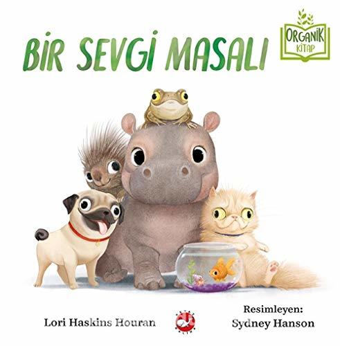 Bir Sevgi Masalı book cover