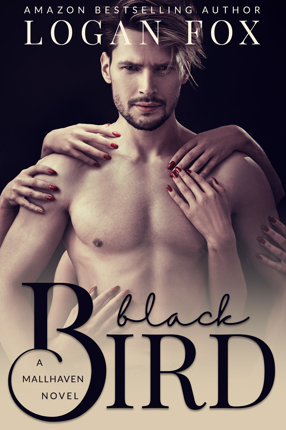 Black Bird book cover