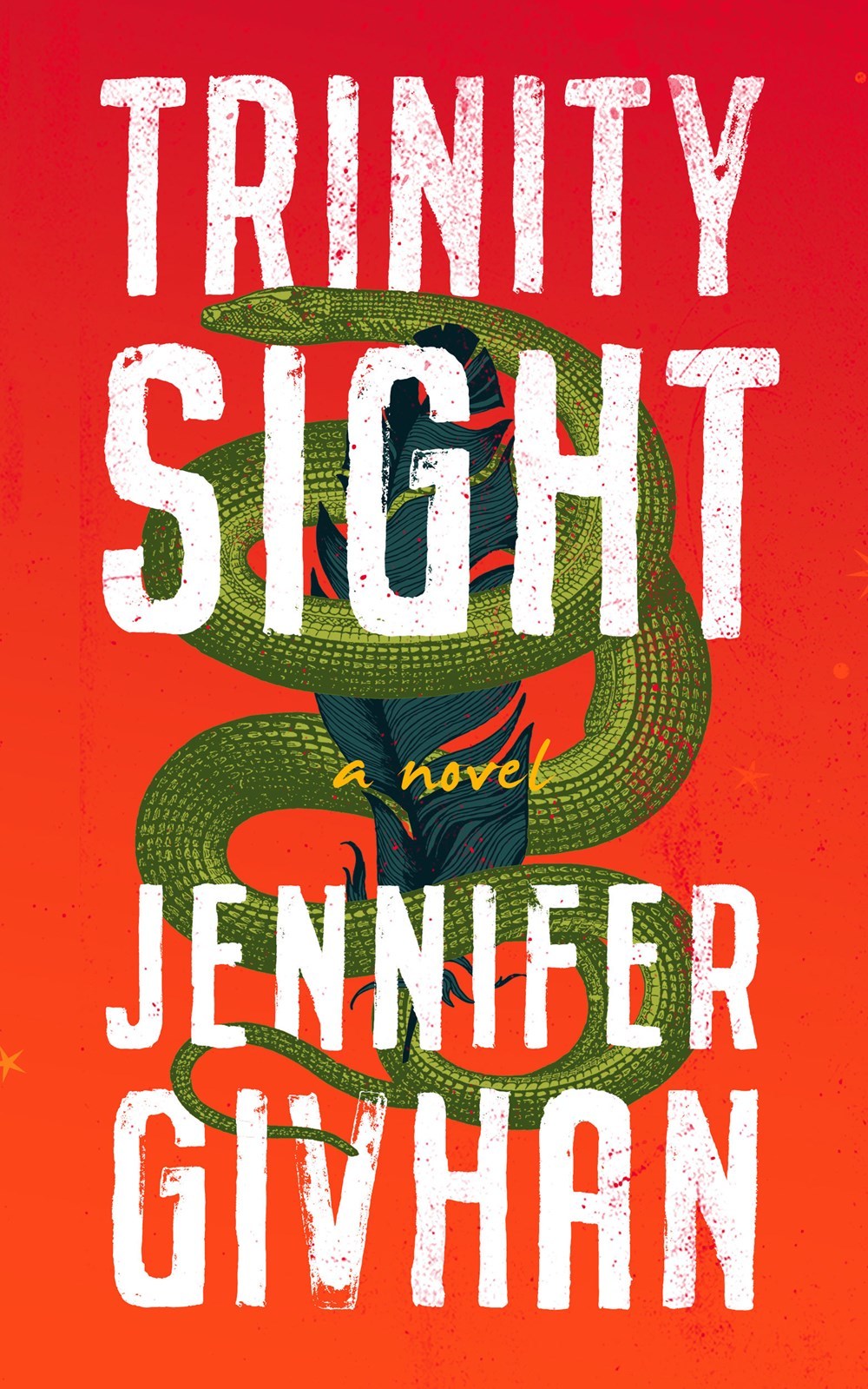 Trinity Sight book cover