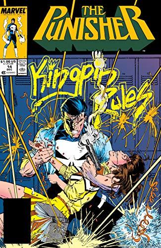 The Punisher (1987-1995) #14 book cover