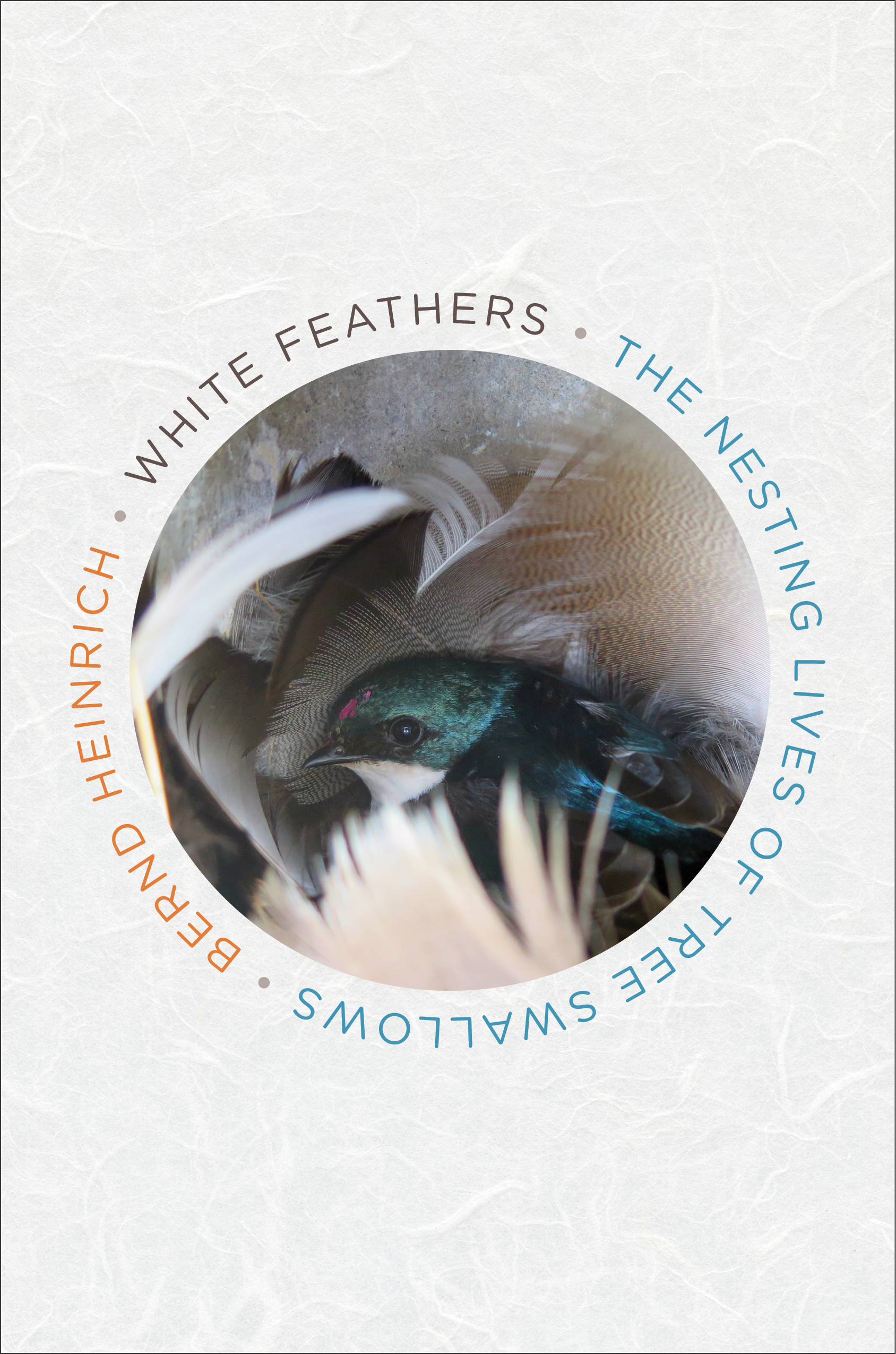 White Feathers book cover