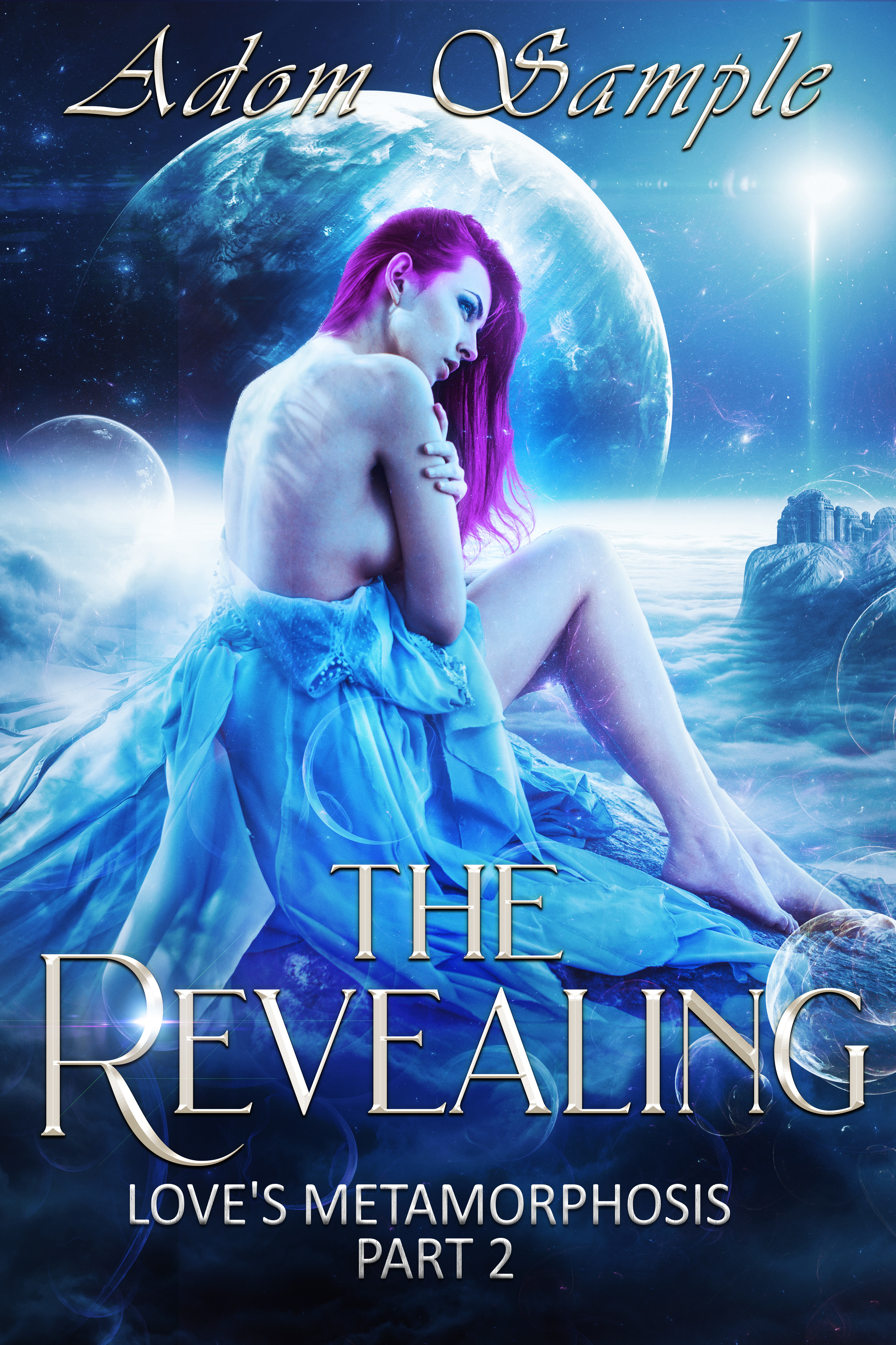 The Revealing book cover