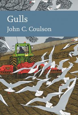Gulls (Collins New Naturalist Library) book cover