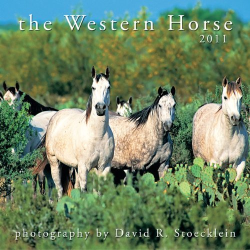 The Western Horse 2011 Calendar by David R. Stoecklein Goodreads