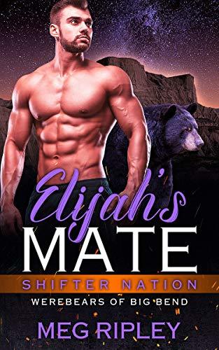 Shifter Nation: Werebears ofBig Bend book cover 2