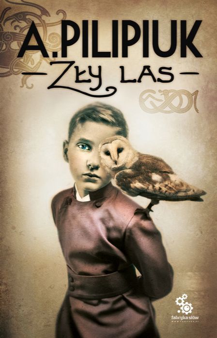 Zły las book cover