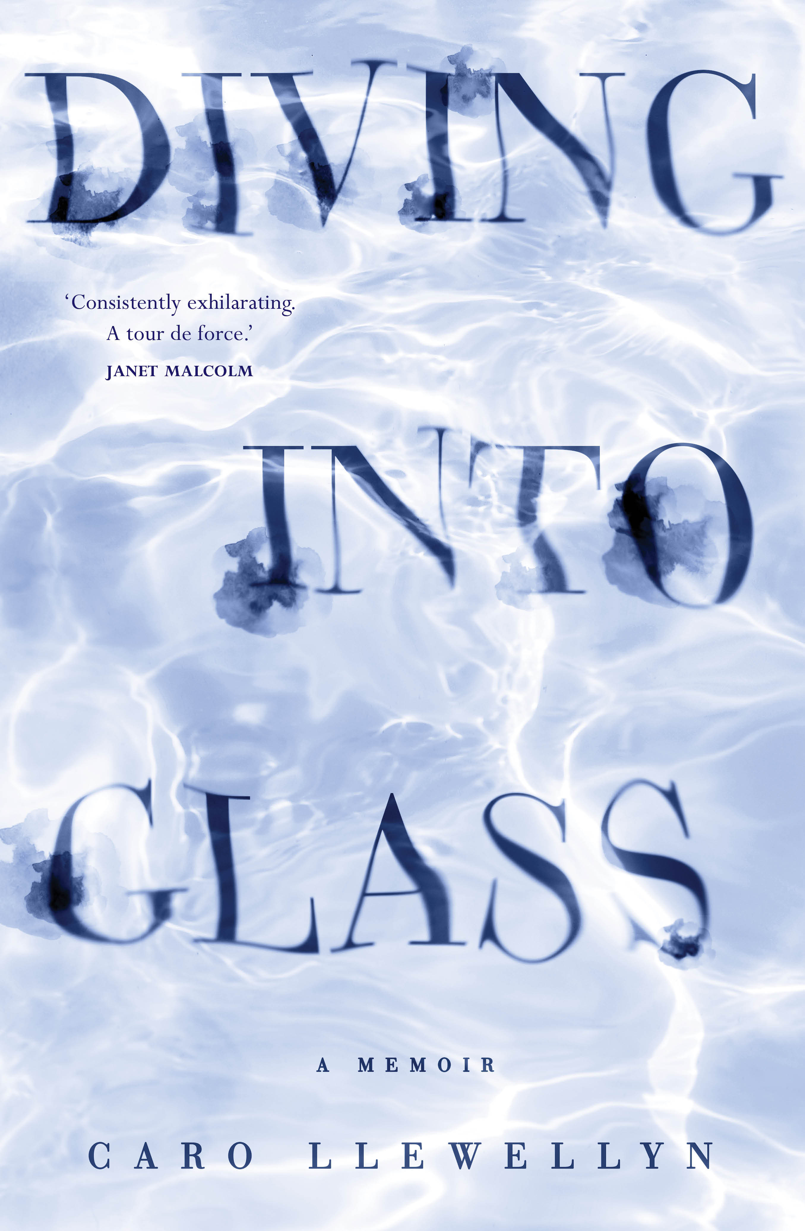 Diving into Glass by Caro Llewellyn Goodreads