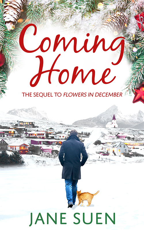 Flowers in December book cover 2