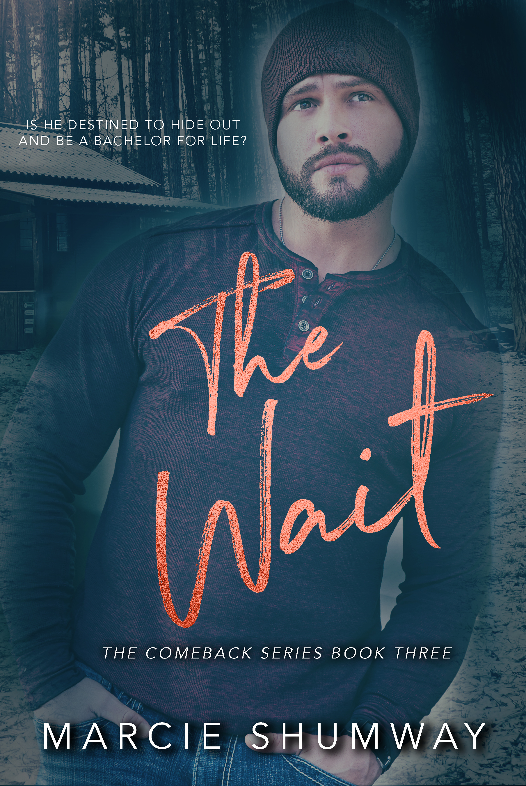 The Comeback book cover 3