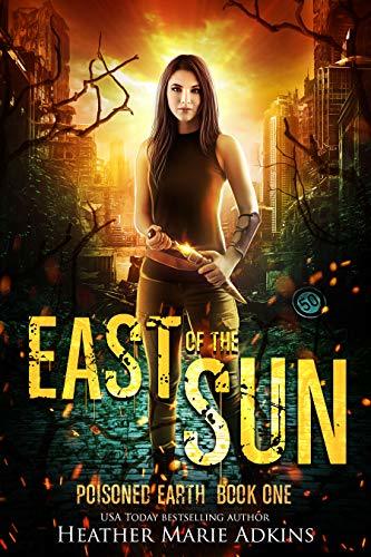 East of the Sun book cover
