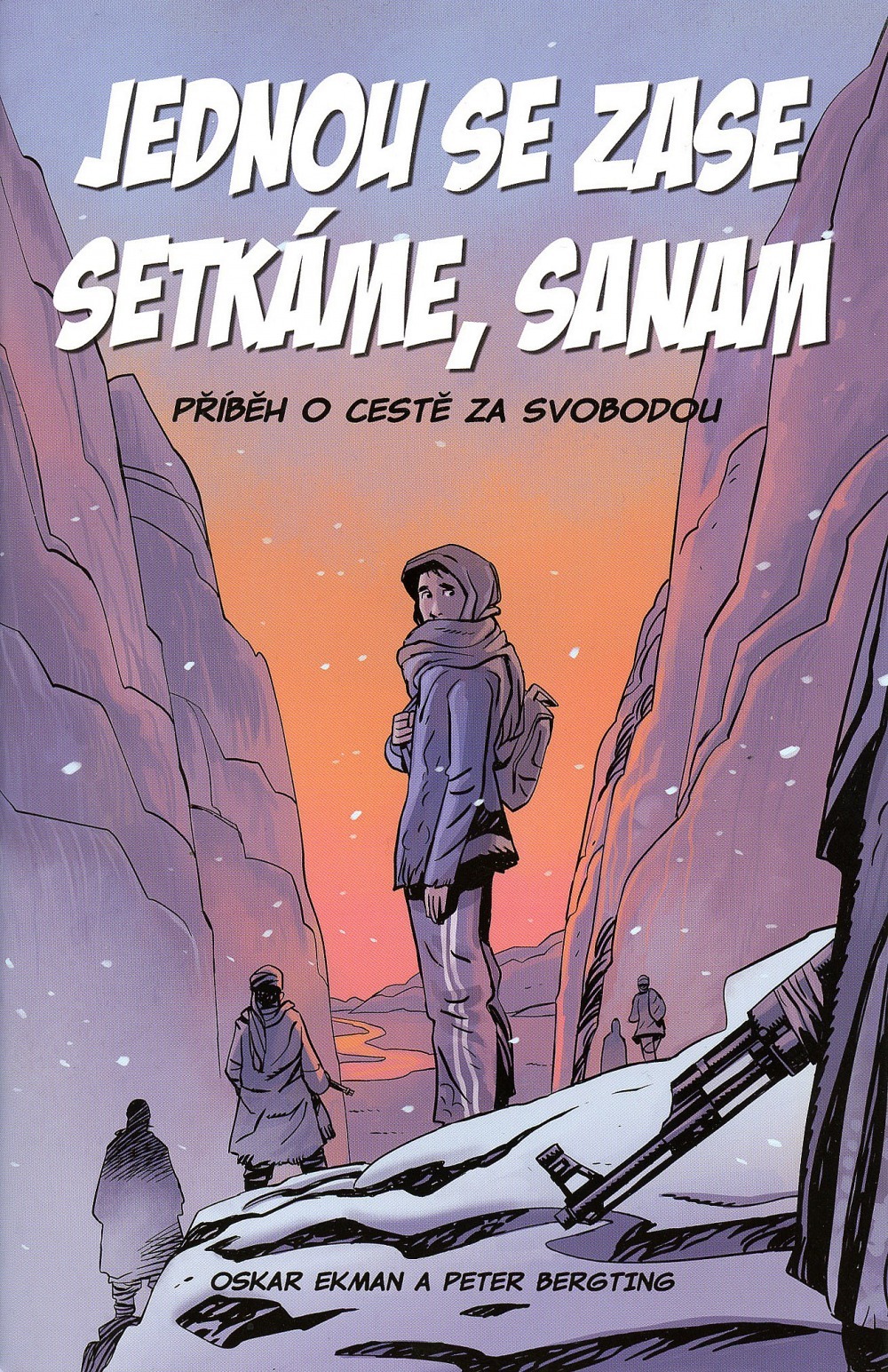 Jednou se zase setkáme, Sanam book cover