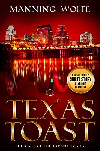 Texas Toast book cover