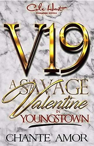 A Savage Valentine In Youngstown book cover