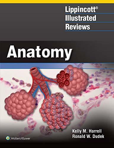 Lippincott Illustrated Reviews: Anatomy