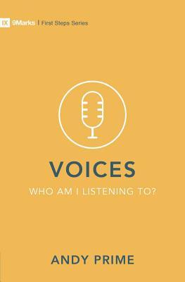 Voices – Who am I listening to?