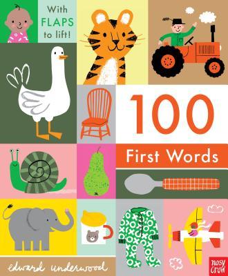 100 First Words: With Flaps to Lift