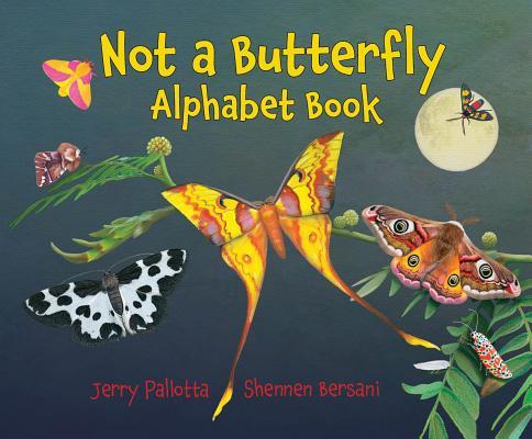Not a Butterfly Alphabet Book book cover