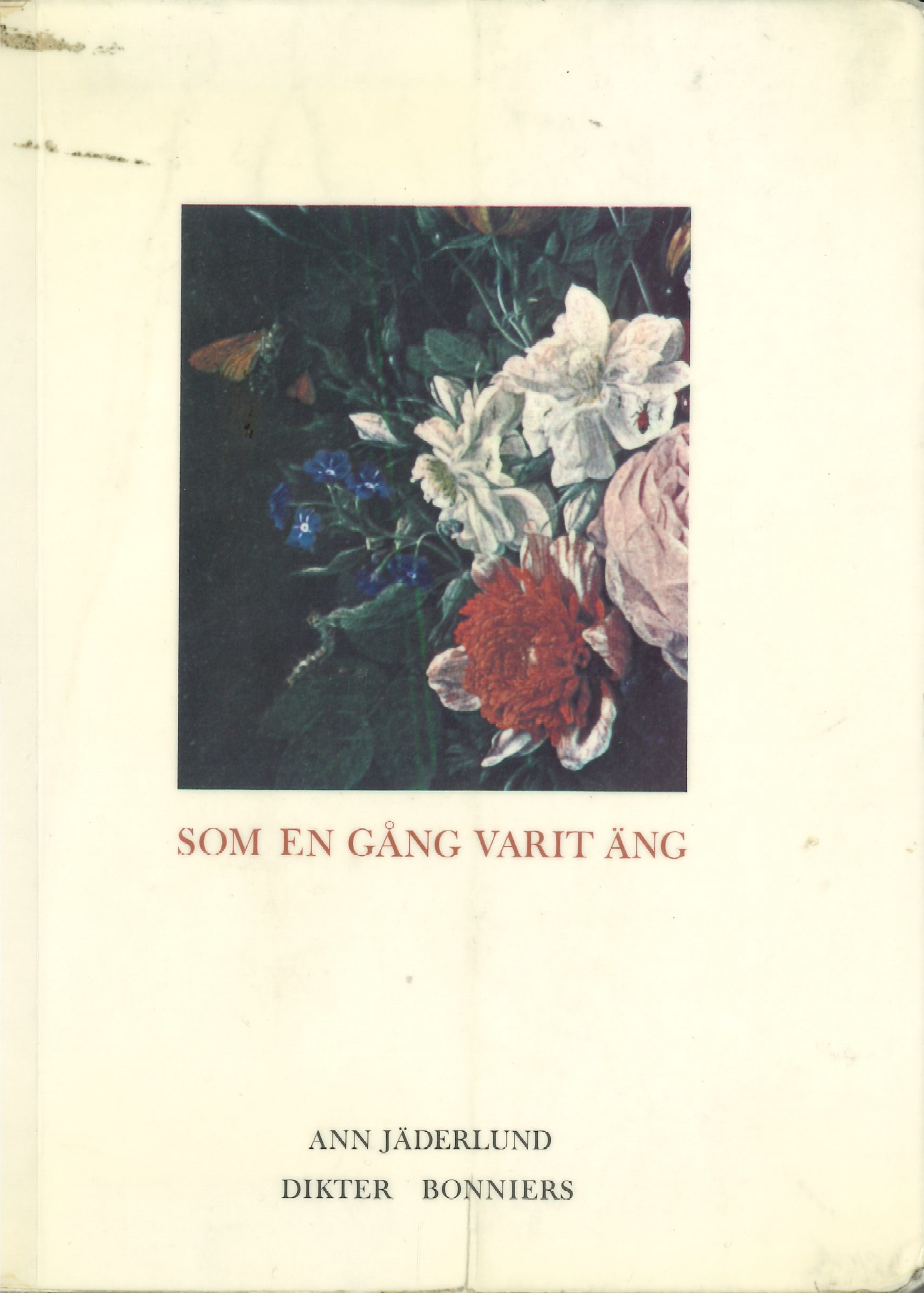 Som en gång varit äng