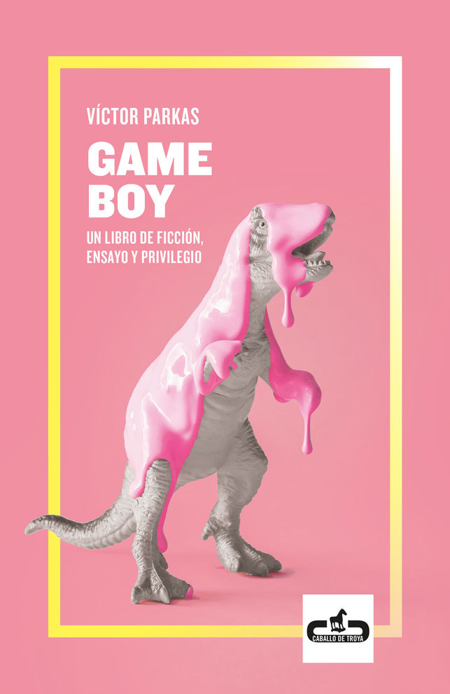 Game Boy. Un libro de ficción, ensayo y privilegio book cover