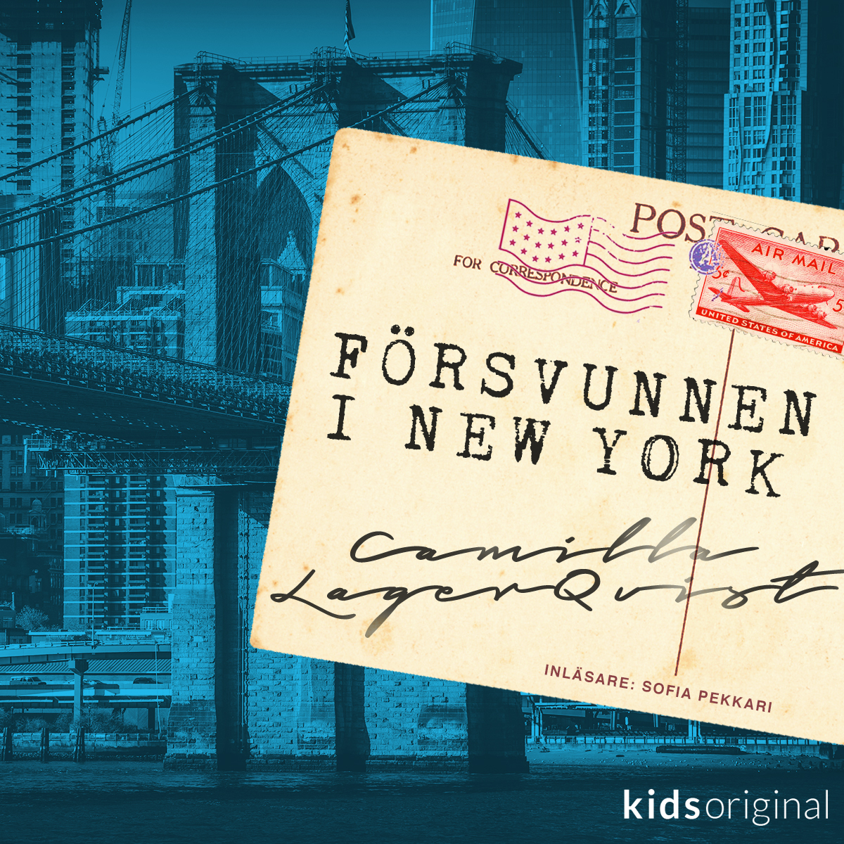 Försvunnen i New York book cover