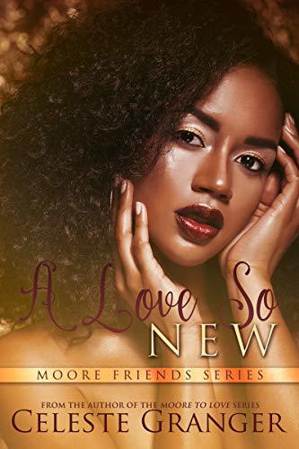 A Love So New book cover