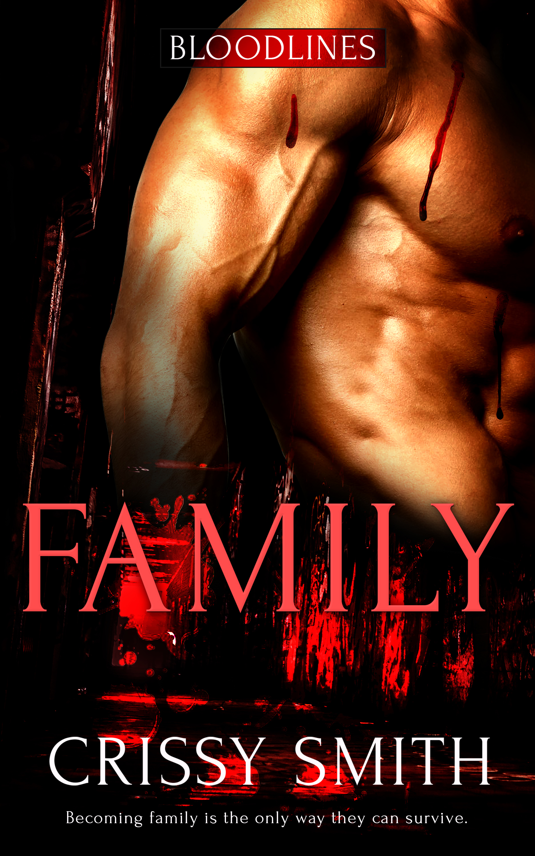 Family book cover