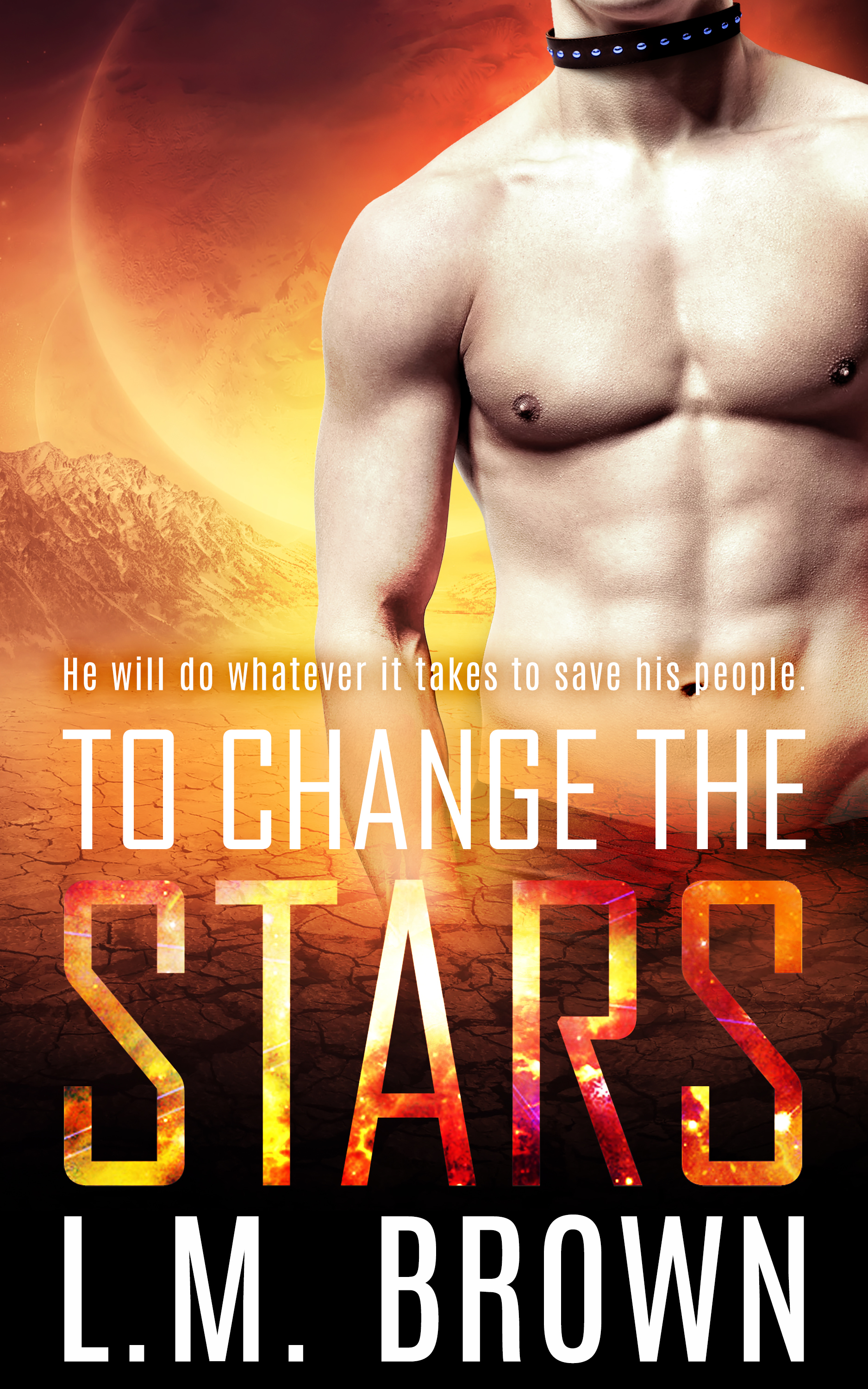 To See the Sky book cover 2
