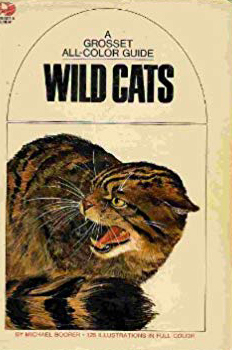 Knowledge Through Color book cover 3