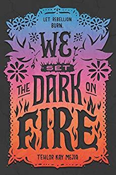 We Set the Dark on Fire (We Set the Dark on Fire, #1)