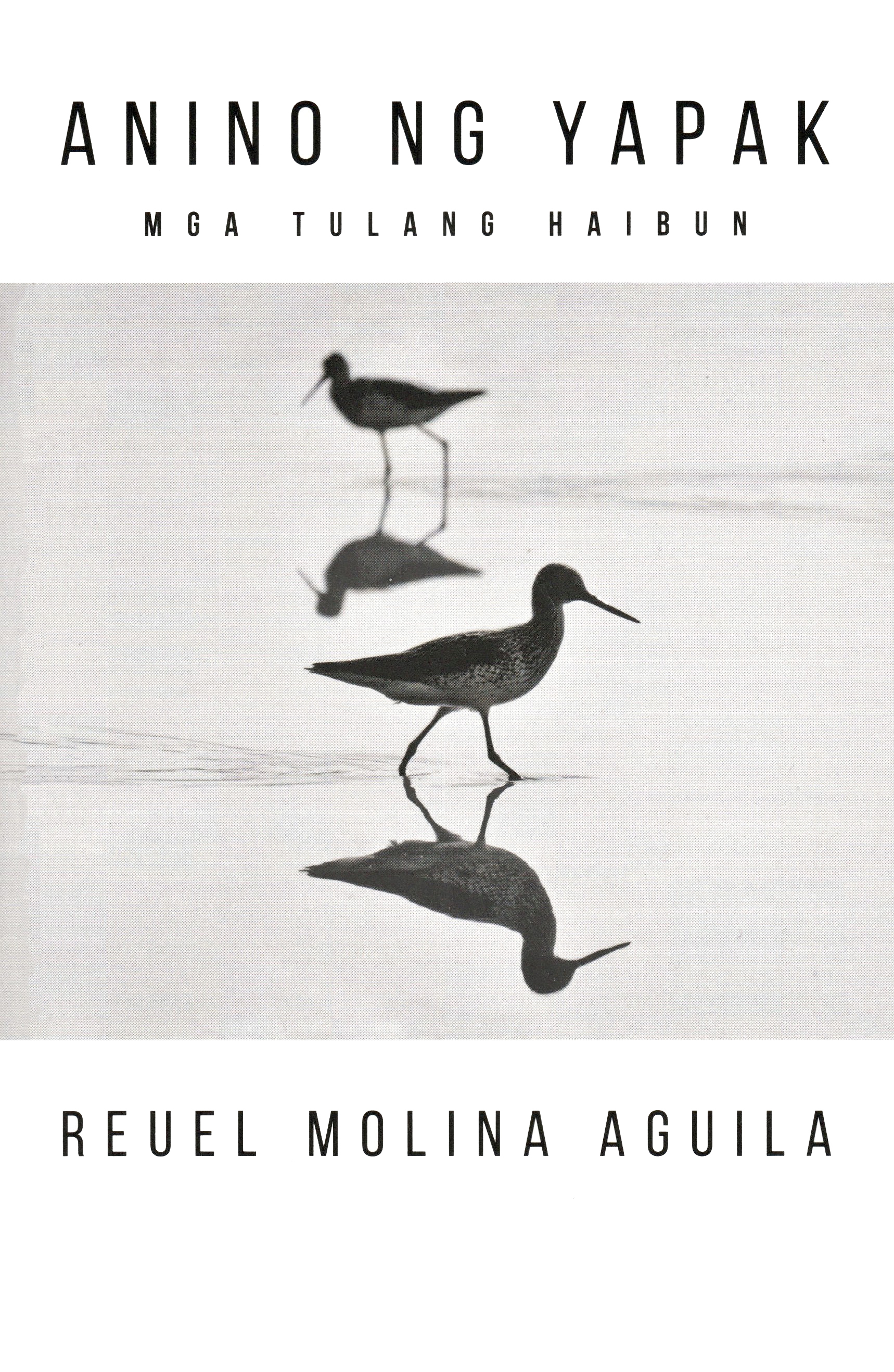 Anino ng Yapak book cover