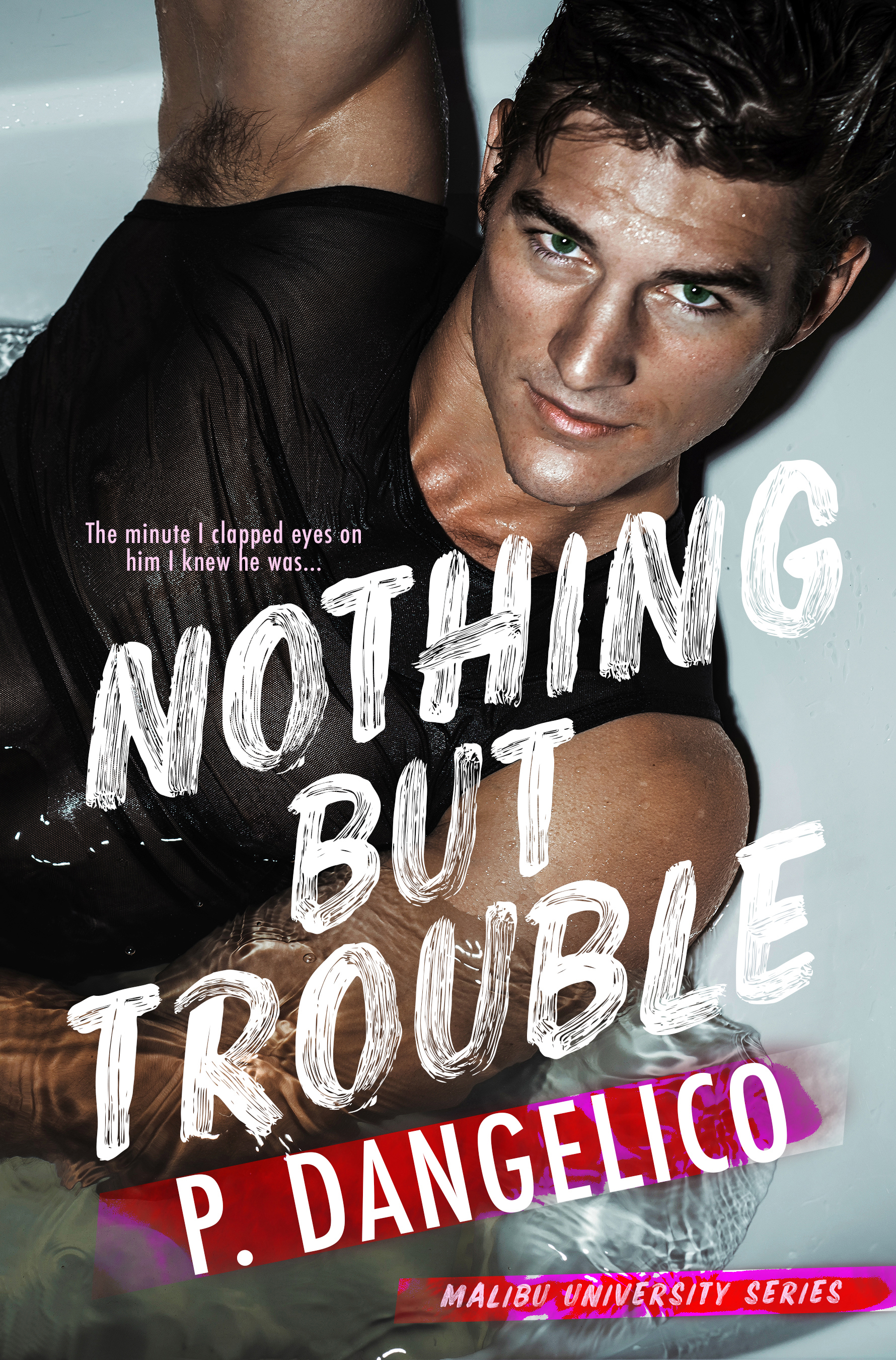Trouble is bad. The nothing book. malibu rising by taylor jenkins reid. nothing but trouble. nothing but trouble 1991.