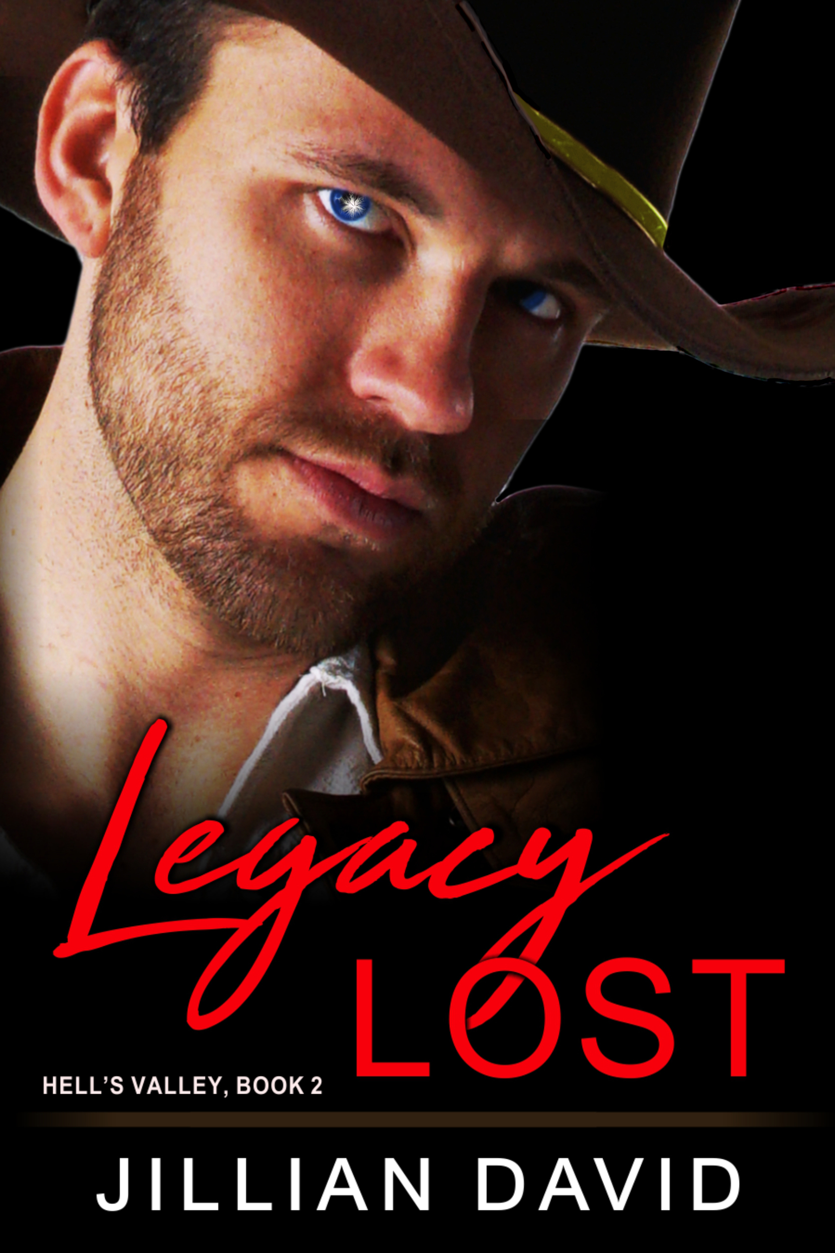 Cowboys of Copper River book cover 2