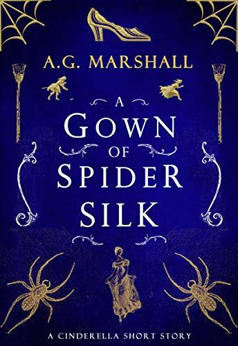 A Gown of Spider Silk book cover