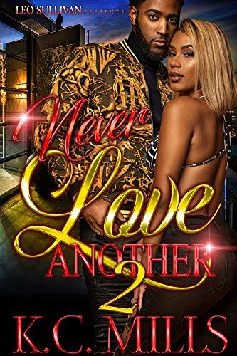 Never Love Another 2 book cover