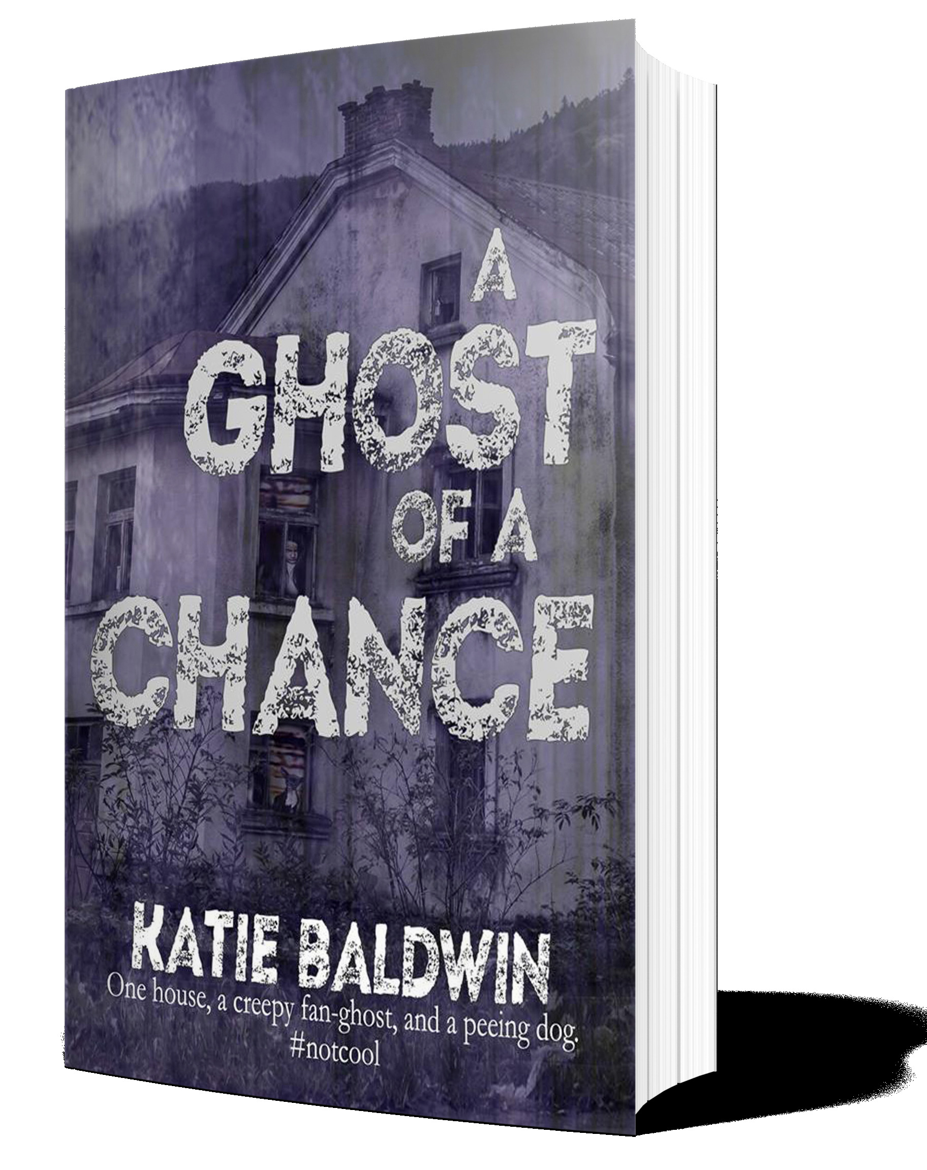 A Ghost of A Chance book cover